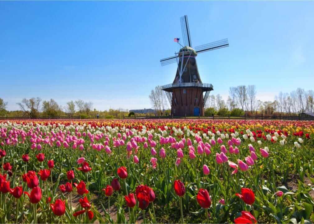 What spring looks like in every state